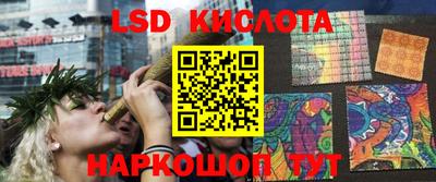 сатива Коммунар